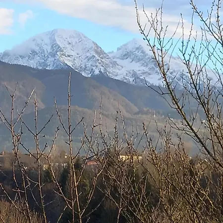 Studio In Rozalija's Апартаменты Visoko (Sencur)